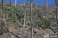 VBS_8915- Risvegli